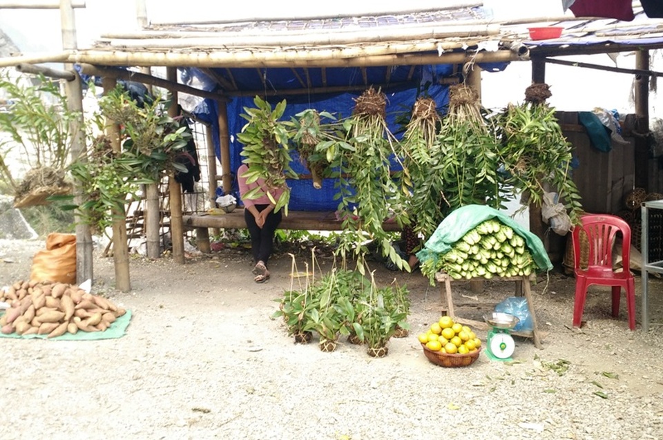 Ghé thăm chợ hoa phong lan giữa núi rừng Tây Bắc - 14 Hoa lan được bày bán cùng những sản vật cây nhà lá vườn của người dân.
