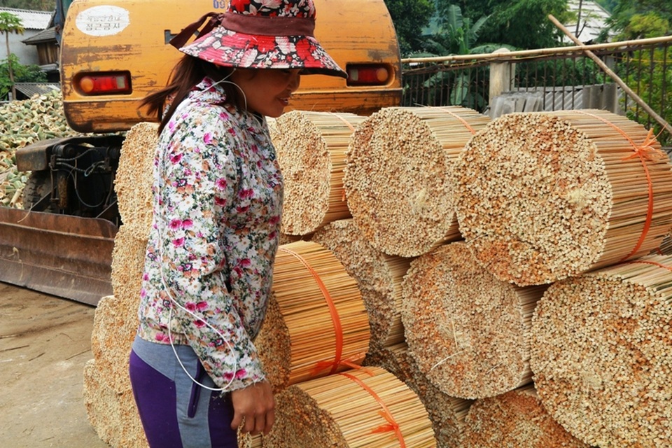 Họ làm từ sáng đến tối, lúc nào cũng tất bật với công việc.