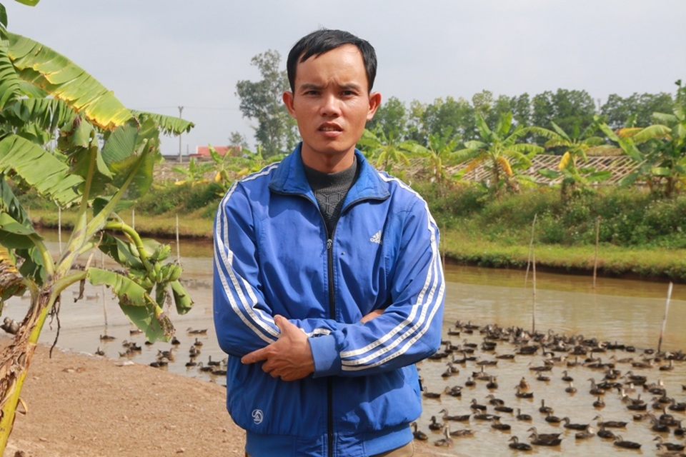 Anh Phan Văn Nhật, có 2 bằng cử nhân, bỏ việc ổn định lương cao về quê nuôi vịt trời.