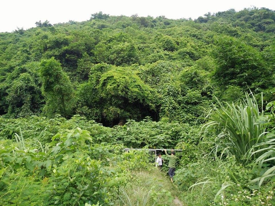 Lối vào di tích Quốc gia bị chắn bởi... trang trại gà - 2 Để vào được khu di tích, du khách phải đi qua 3 cửa khóa của trang trại gà