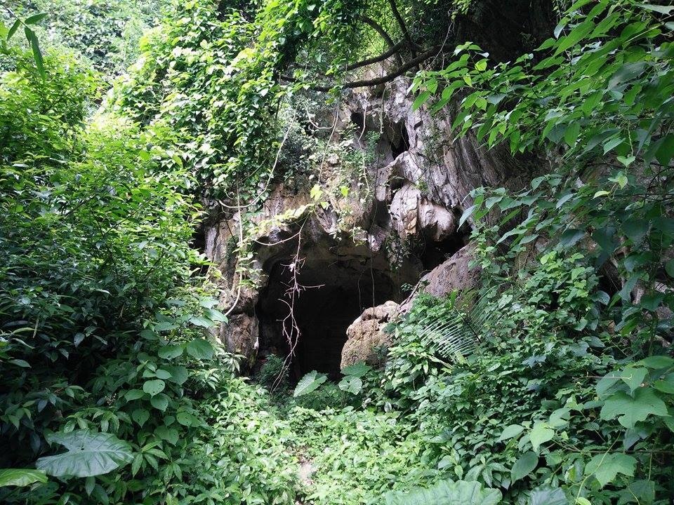 Lối vào di tích Quốc gia bị chắn bởi... trang trại gà - 1 Hang Treo đã được công nhận di tích Quốc gia năm 1994