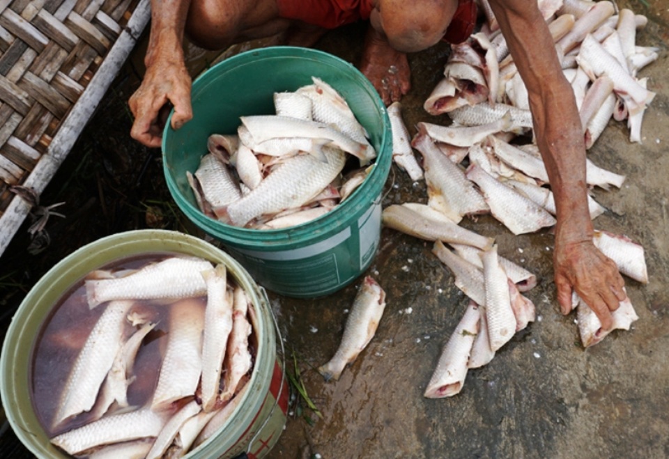 Sông Mã “kêu cứu” - 4 Sông Mã “kêu cứu” - 4