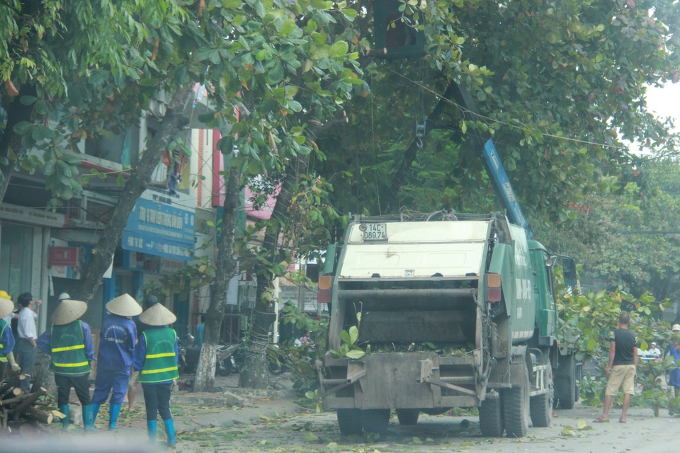 Công nhân công ty cây xanh huyện Vân Đồn cắt cây trước bão để đảm bảo an toàn