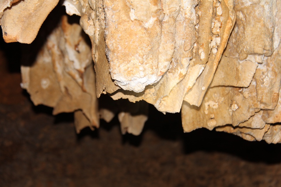 
Phần đầu nhũ biến mất hệt như bị dùng cưa cắt
