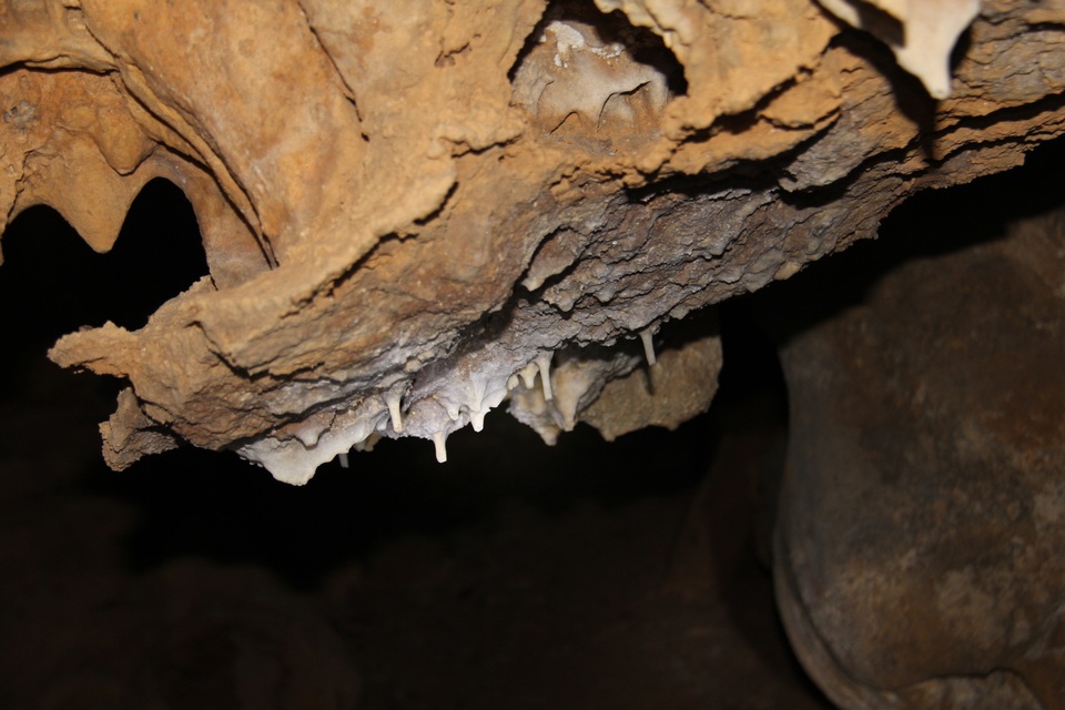 Nhũ đá bị mất phần ngọn chỉ còn trơ lại phần đá phẳng với những giọt nhũ bắt đầu hình thành tại hang Cặp La