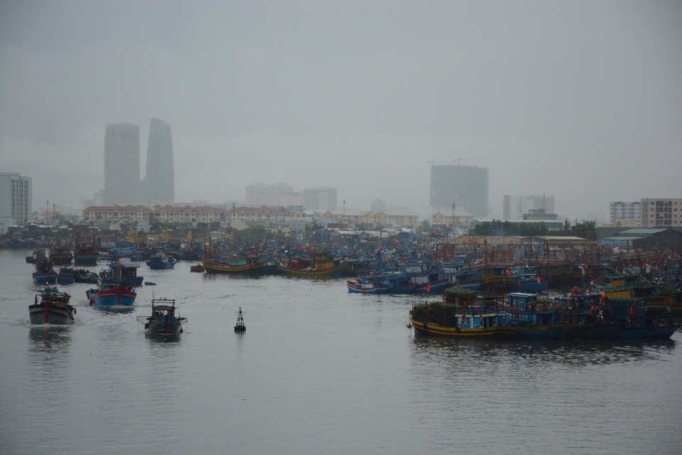 Tàu thuyền ngư dân miền Trung neo đậu tránh bão