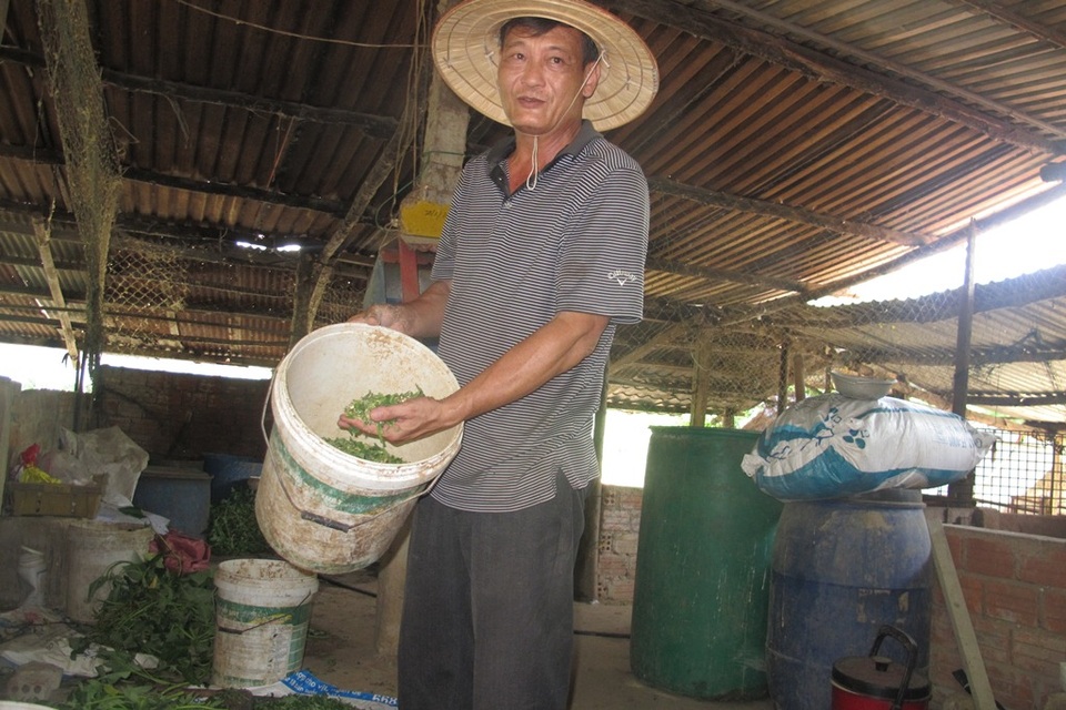 Ông Thái giới thiệu loại thức ăn cho vịt