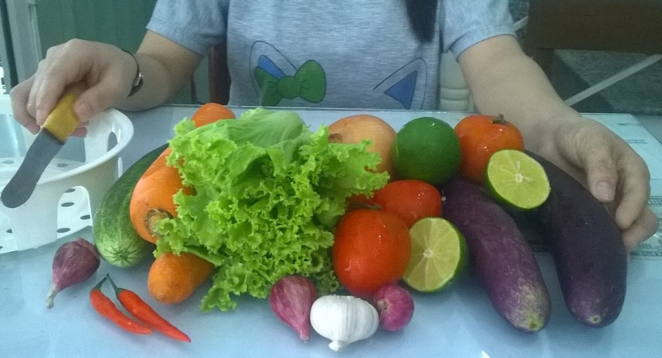 Ăn rau trái: Chống lại gốc tự do, giảm lo bị ung bướu - 1 Rau quả nhiều xơ, khoáng, vitamin và chất chống oxy hóa Ảnh TBT