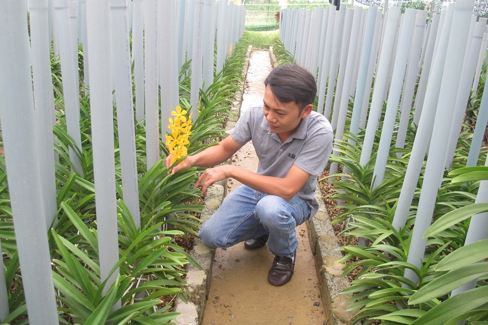 Anh Trung giới thiệu về vườn hoa của mình