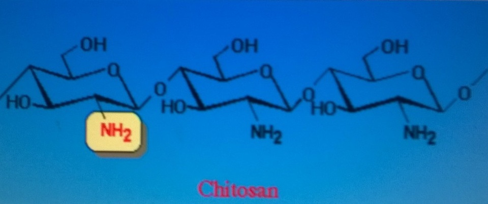 Chitosan: Nguyên liệu quý từ vỏ tôm, cua - 3 Chitosan: Nguyên liệu quý từ vỏ tôm, cua - 3