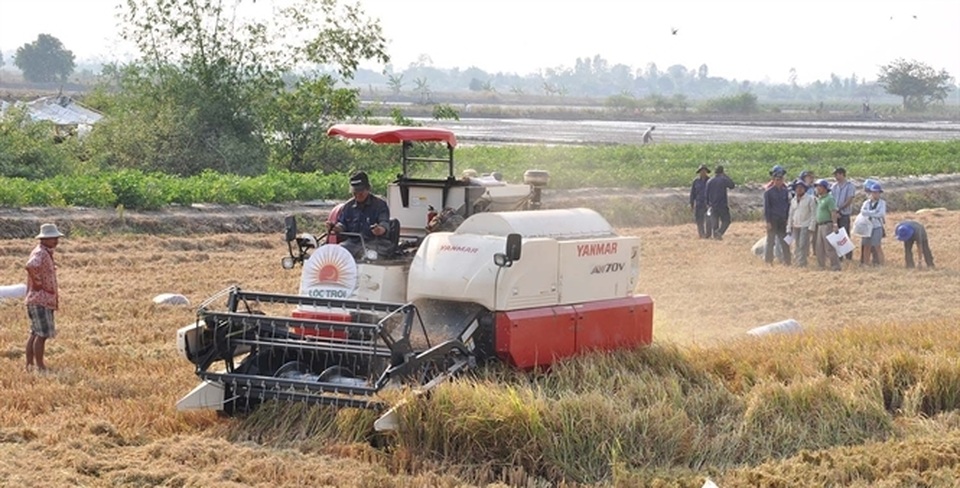 Đốt rơm rạ: Lãng phí tài nguyên, ô nhiễm môi trường - 4 Đốt rơm rạ: Lãng phí tài nguyên, ô nhiễm môi trường - 4