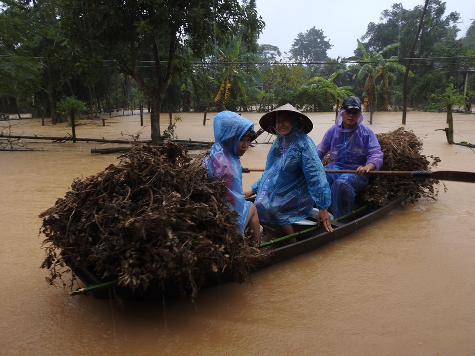 
Đưa thức ăn gia súc lên cao
