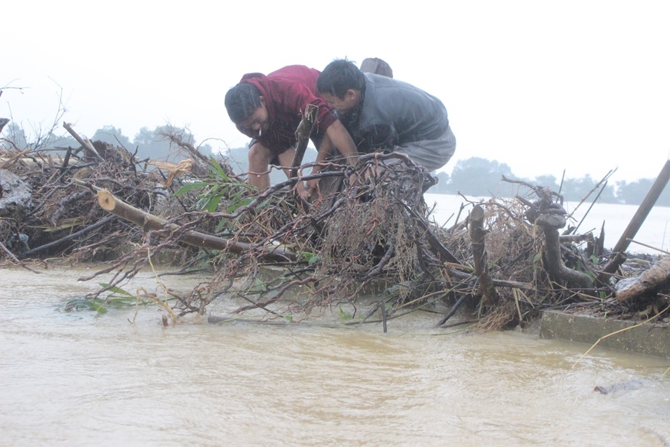 Người dân liều mình vớt củi trong nước lũ chảy xiết - 5