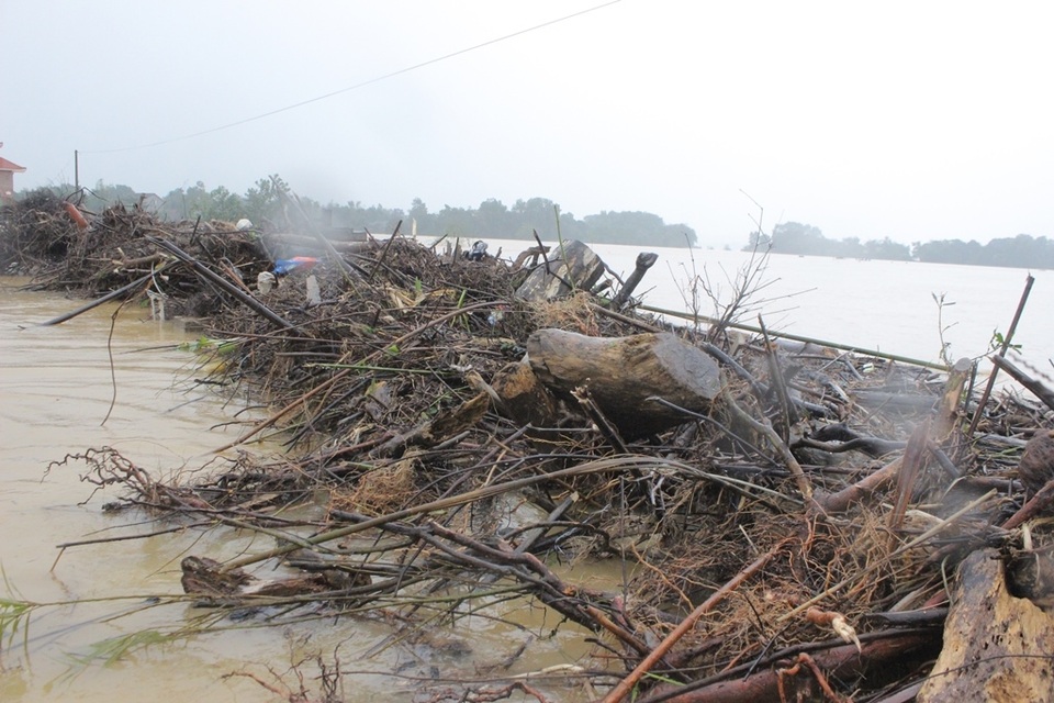 Củi gỗ trôi chất đầy trên cầu