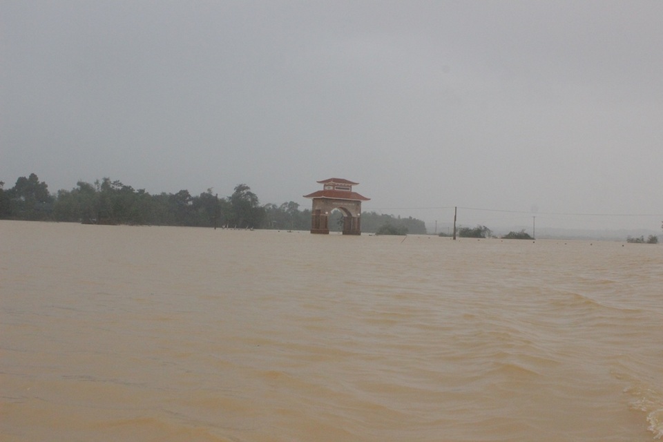 Số ngô vừa xuống giống một ngày đã chìm trong nước lũ