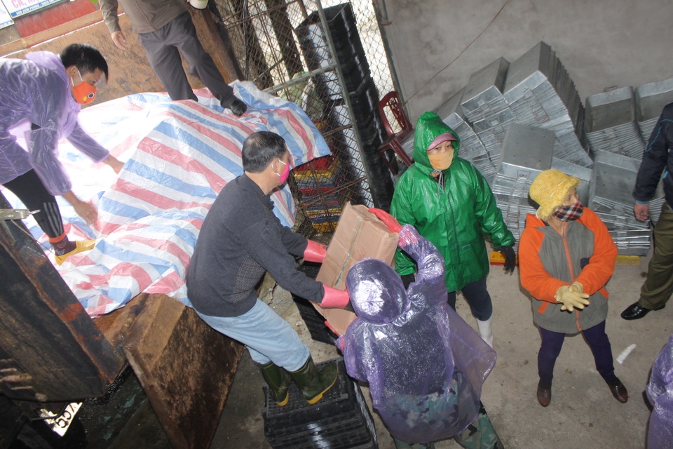 Vận chuyển hải sản đi tiêu hủy