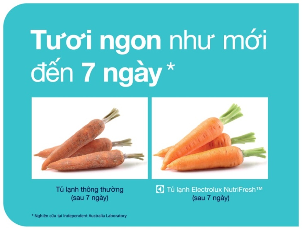 Tuyệt chiêu giúp rau củ tươi ngon như mới đến 7 ngày - 1