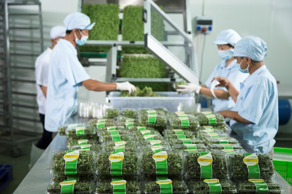 Nông dân cần “bắt tay” doanh nghiệp để đi lên sản xuất lớn - 5