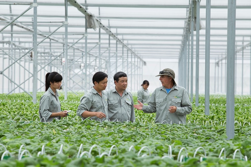 Nông dân cần “bắt tay” doanh nghiệp để đi lên sản xuất lớn - 2 Nông dân cần “bắt tay” doanh nghiệp để đi lên sản xuất lớn - 2