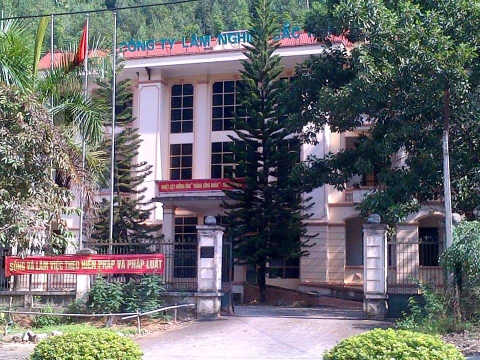 Mô hình hiệu quả trồng rừng Keo lâm nghiệp ở Bắc Kạn - 1 Mô hình hiệu quả trồng rừng Keo lâm nghiệp ở Bắc Kạn - 1