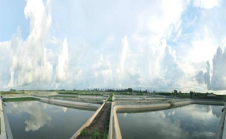 Mô hình kinh doanh kiểu mới từ trang trại đến bàn ăn - 1 Mô hình trang trại kiểu mới