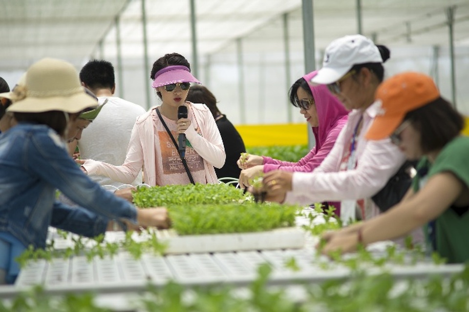 Vân “Sống chung với mẹ chồng” đi xem trồng rau sạch với Tự Long - 7 Không phải là cô con dâu đảm trong phim nhưng Bảo Thanh lại tỏ ra xuất sắc khi… trồng rau. Cô nàng say sưa hướng dẫn thành viên đội mình và giành chiến thắng tuyệt đối tại trò chơi này.