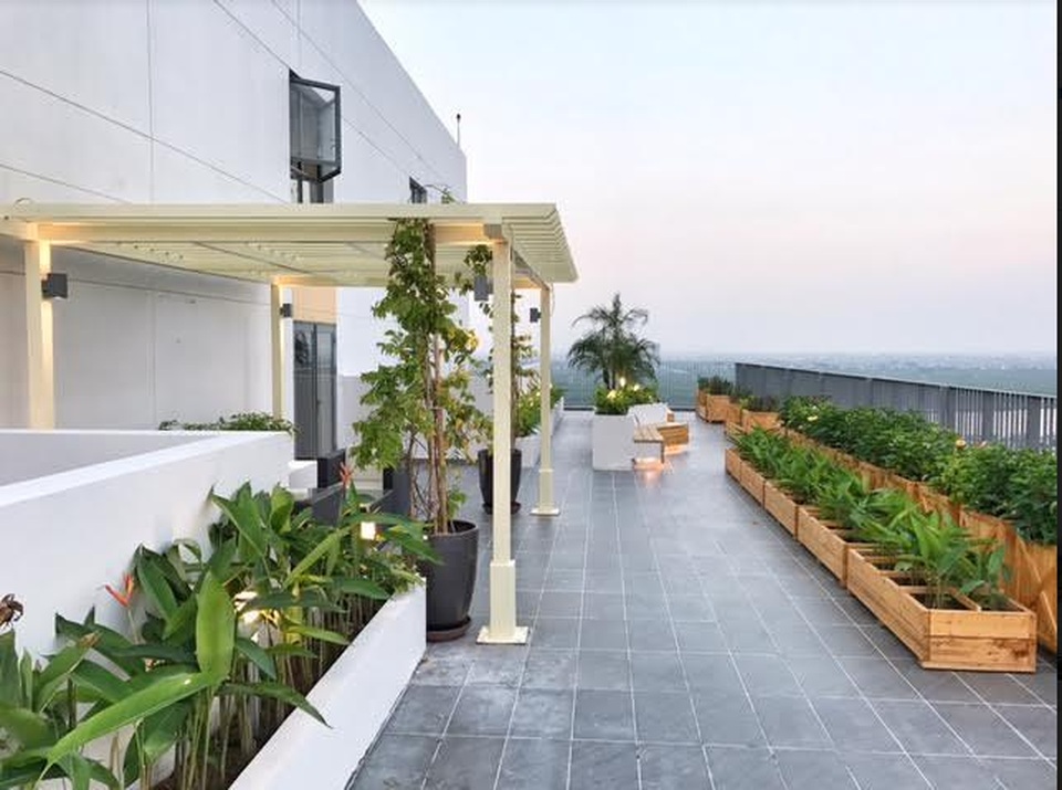 Yếu tố xanh trong căn hộ chung cư: phép màu cho cuộc sống hiện đại - 2 Chủ đầu tư đã hoàn tất xây dựng cảnh quan sân vườn tầng 20 -22 cho cư dân T&T Riverview