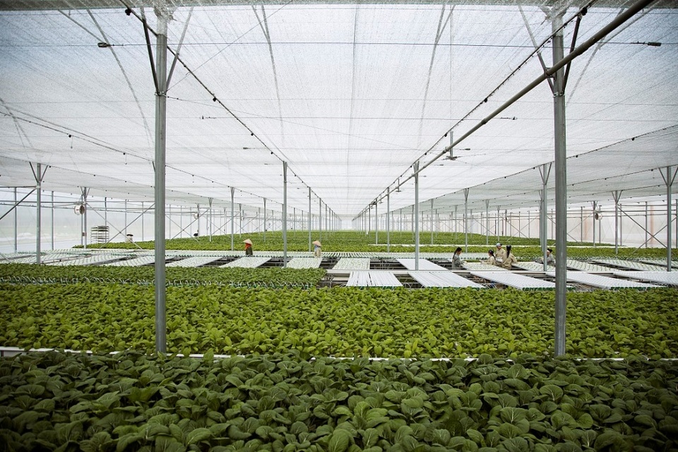 2 năm “hành trình sạch - Tương lai xanh” của Vineco - 1 2 năm “hành trình sạch - Tương lai xanh” của Vineco - 1