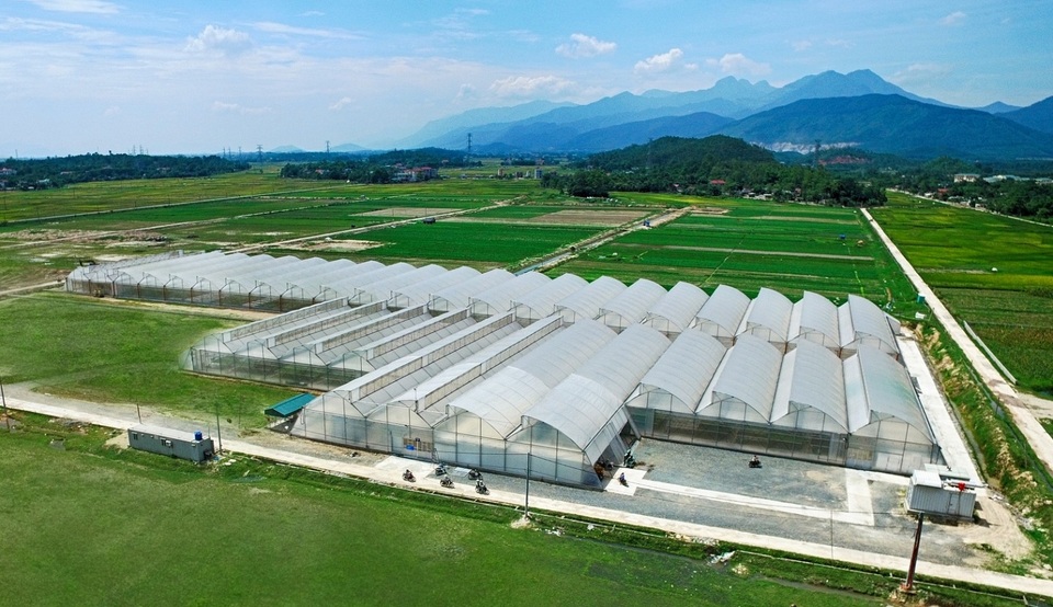 2 năm “hành trình sạch - Tương lai xanh” của Vineco - 3 2 năm “hành trình sạch - Tương lai xanh” của Vineco - 3