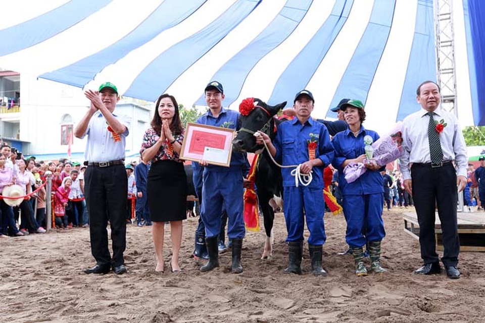 Hoa hậu Bò sữa Mộc Châu 2017: Tưng bừng Cuộc thi của những hoa hậu “ngàn cân” - 7 Hoa hậu Bò sữa Mộc Châu 2017: Tưng bừng Cuộc thi của những hoa hậu “ngàn cân” - 7