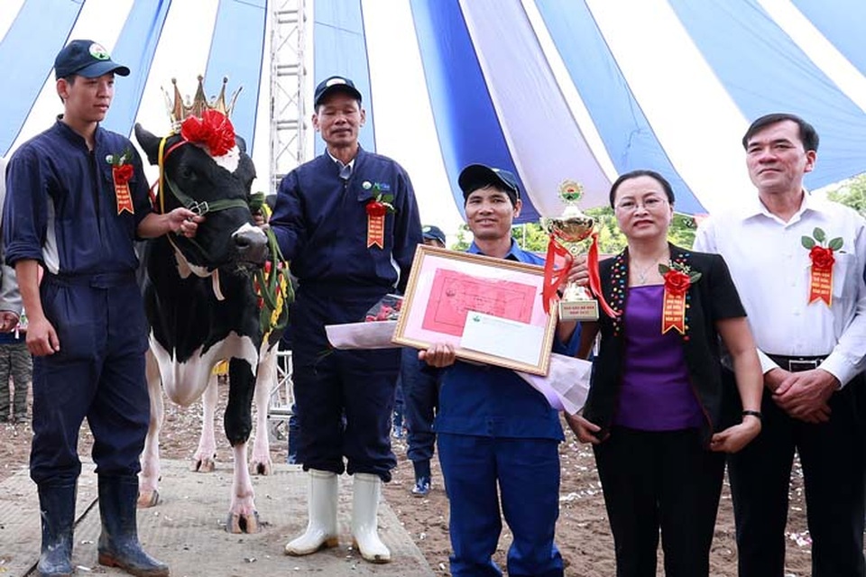 Hoa hậu Bò sữa Mộc Châu 2017: Tưng bừng Cuộc thi của những hoa hậu “ngàn cân” - 8 Hoa hậu Bò sữa Mộc Châu 2017: Tưng bừng Cuộc thi của những hoa hậu “ngàn cân” - 8