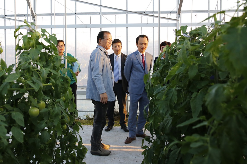 Nguyên Đại sứ Nhật Bản tại Việt Nam làm Trưởng Văn phòng đại diện Tập đoàn FLC tại Nhật Bản - 6 Tập đoàn có chuyến tham quan Trang trại nông nghiệp ứng dụng công nghệ cao Farmdo