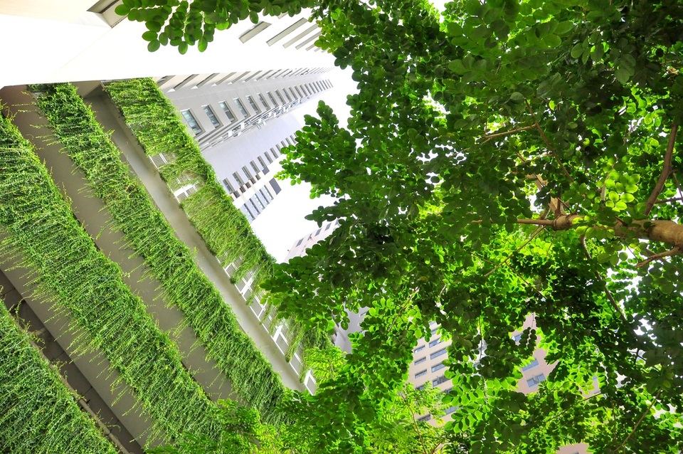 Có một "Singapore thu nhỏ" ngay giữa lòng Hà Nội - 2 Không gian xanh bất tận tại dự án Mulberry Lane