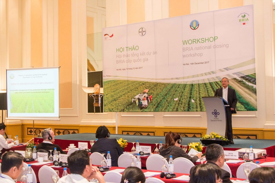 BRIA góp phần đẩy mạnh sản xuất lúa gạo tại Việt Nam - 1 Ông Trần Xuân Định, Phó Cục trưởng Cục Trồng trọt Bộ NN&PTNT đánh giá dự án BRIA