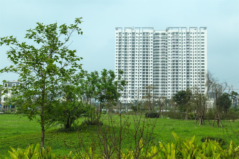 Anland thành công nhờ hướng đến cộng đồng - 3 Anland – Tổ ấm bình yên nuôi dưỡng con trẻ