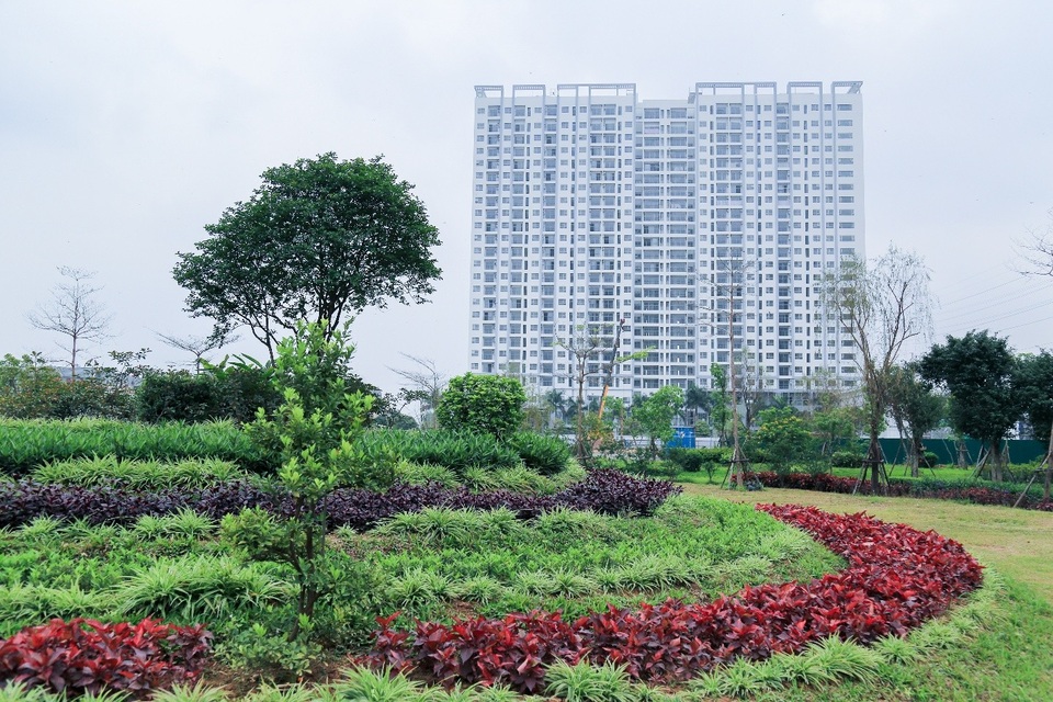 Ông lớn bất động sản trở lại, thị trường trông đợi điều gì? - 2 Anland có mật độ xây dựng thấp chỉ 35%