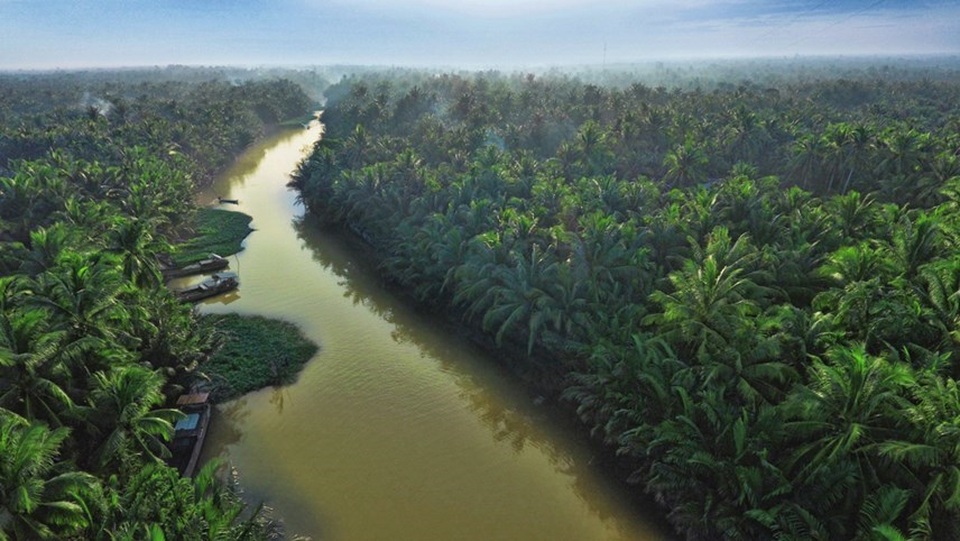 Doanh nghiệp Việt và dự án kiến tạo "10.000ha vườn dừa organic cho nông dân" - 1 Betrimex và kế hoạch kiến tạo “10.000 ha vườn dừa organic cho nông dân”