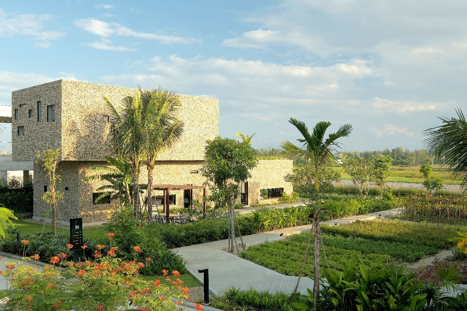 Kết cấu tổng thể ấn tượng trên phông nền mảng xanh nhiệt đới.