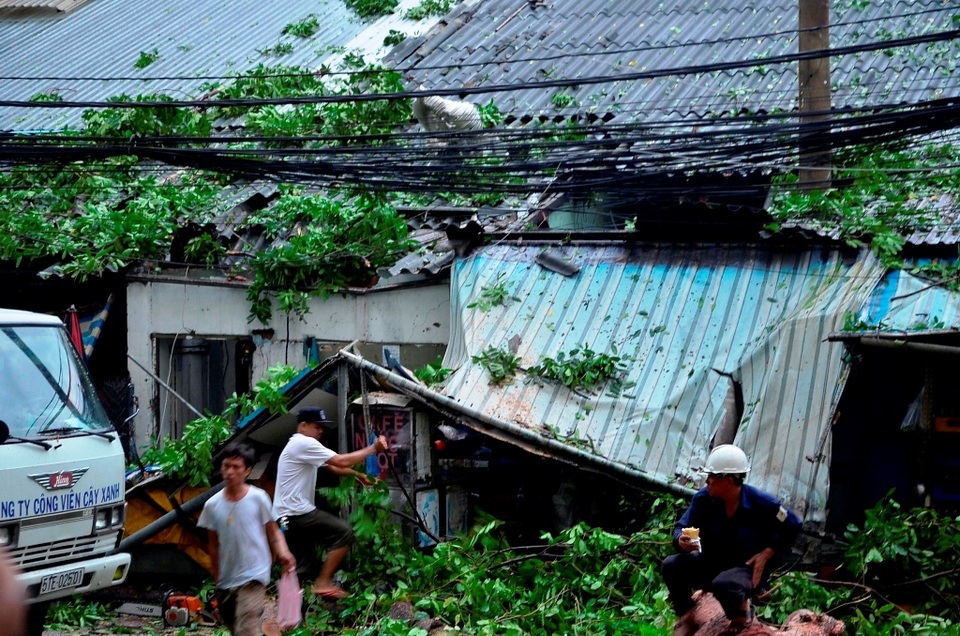 Mái nhà dân bị cây ngã đè hư hỏng