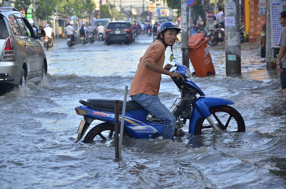 Loay hoay giữa biển nước