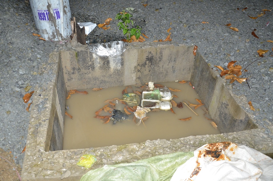 Nhiều hố đầy nước bên trong