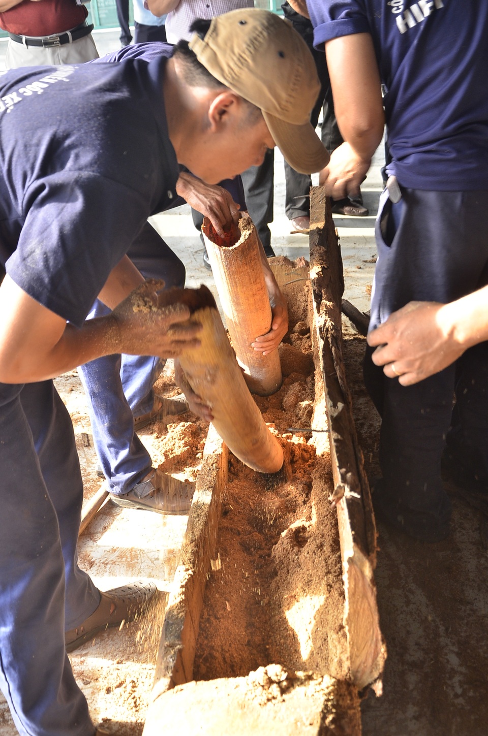 Những khúc ngà voi khủng được lấy ra từ trong khúc gỗ