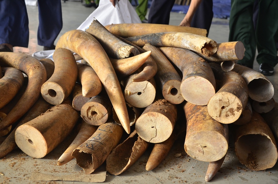 dsc0160-1477994509536