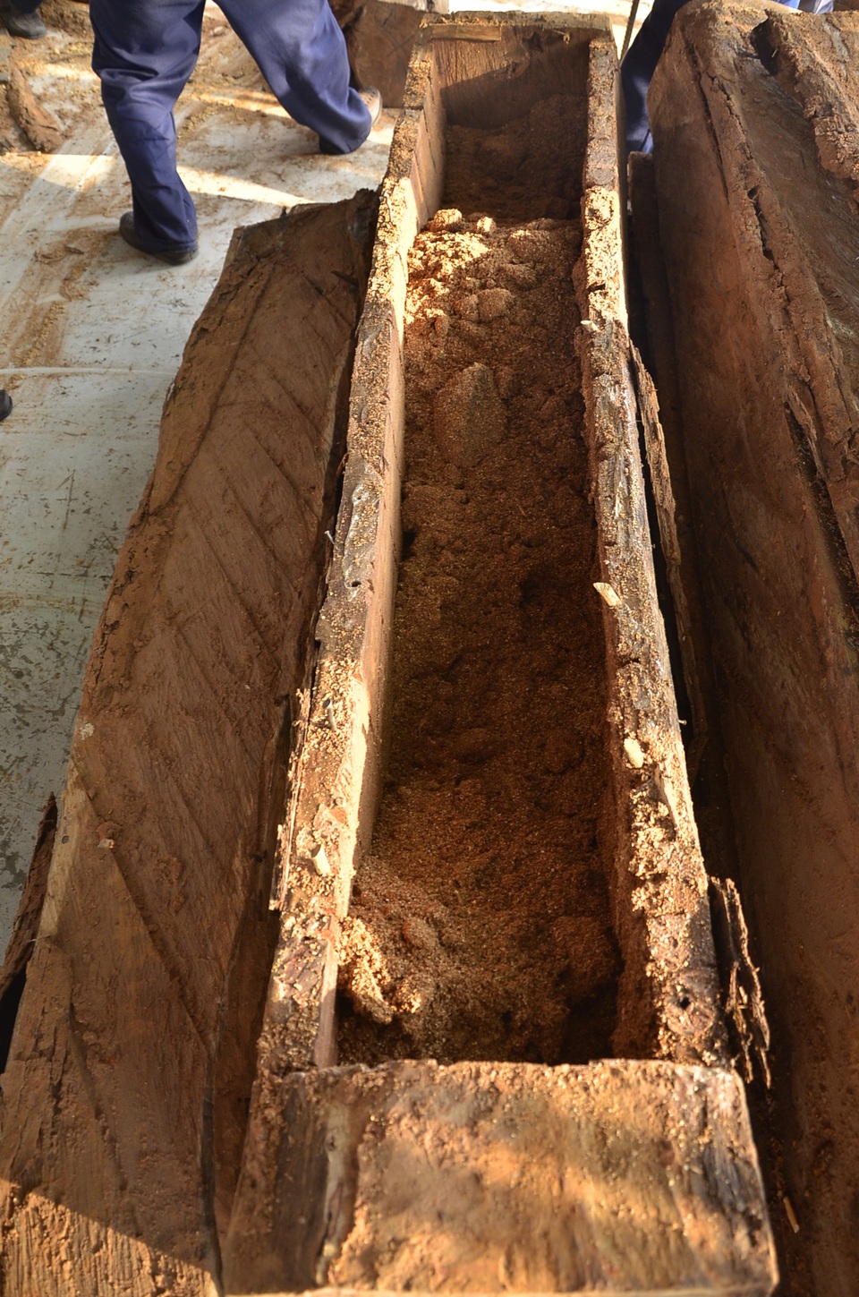 Những khúc gỗ sau khi lấy ngà voi ra