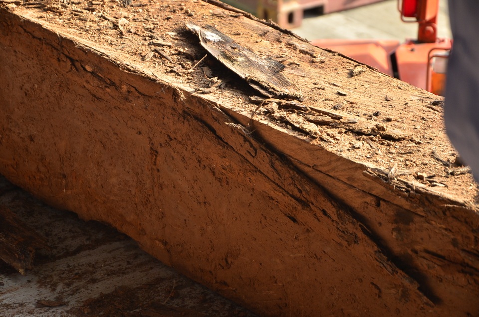 Những khúc gỗ được ốp vỏ bên ngoài để trông như khúc gỗ bình thường