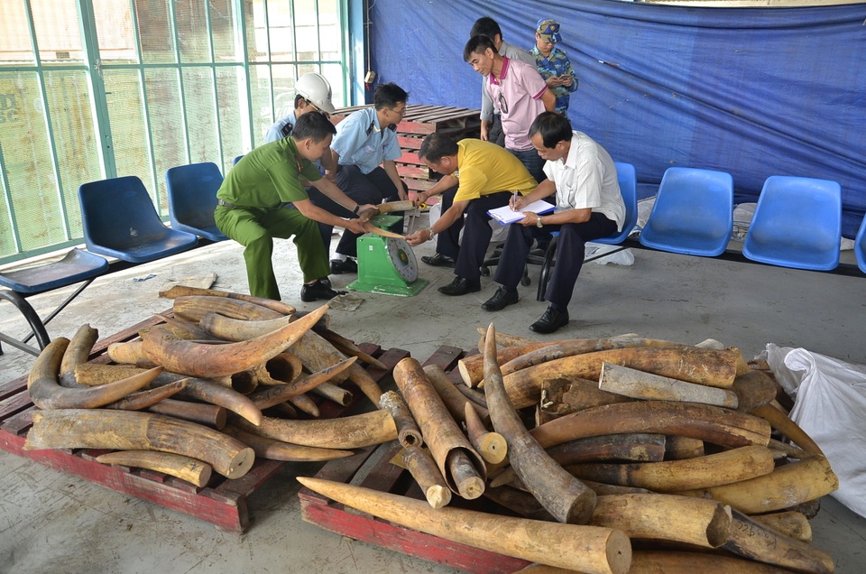 Lực lượng chức năng kiểm đếm tang vật