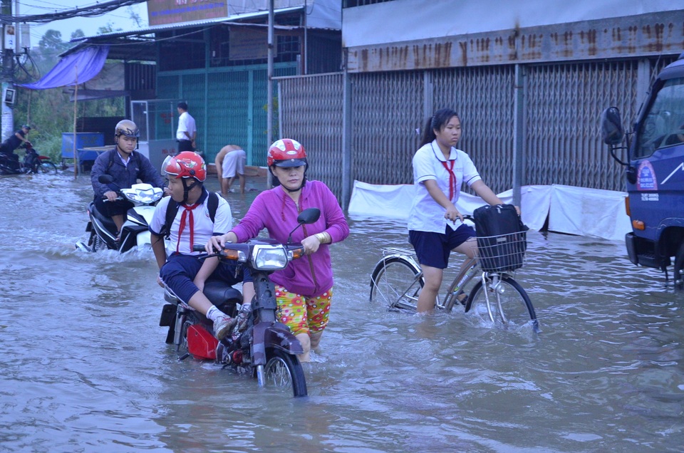 dsc0584-1479256498920