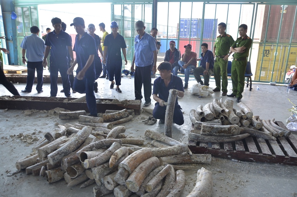 dsc9676-1480030239183