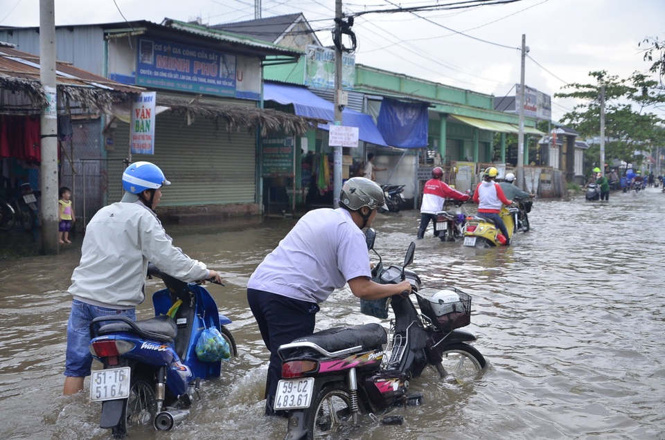 dsc2301-1481715182782