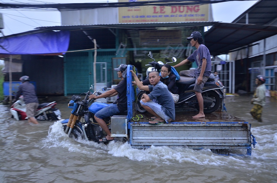 dsc2365-1481714918674